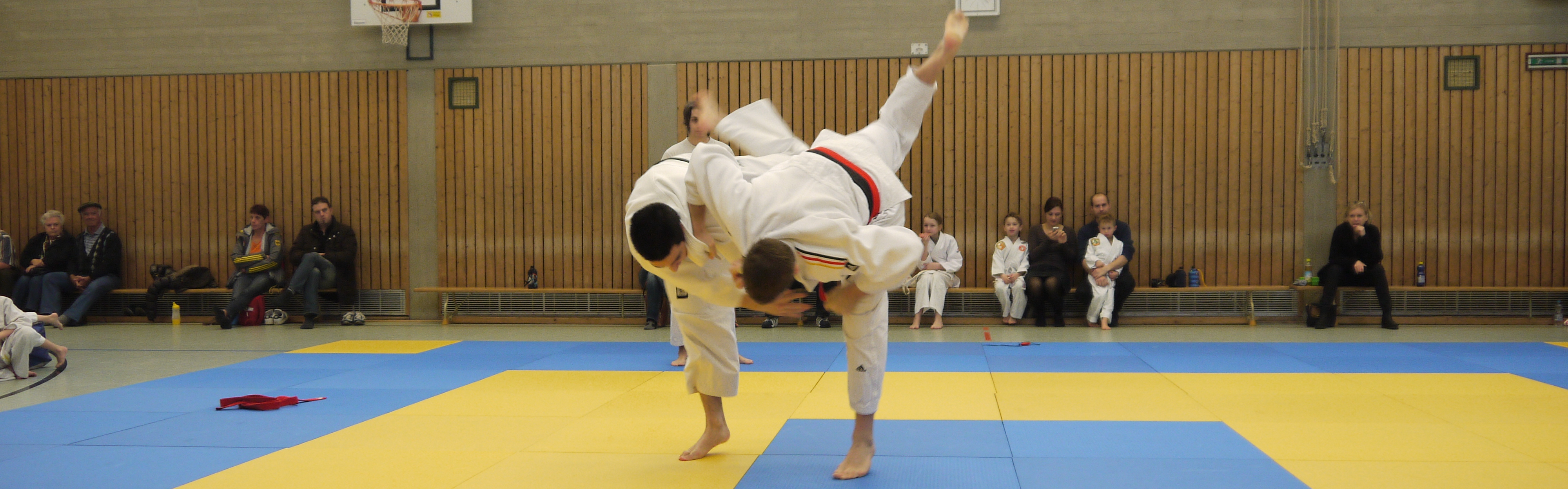 Judo-Wurf